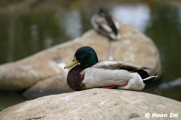 GGP_BotanicalGarden_030607_0001