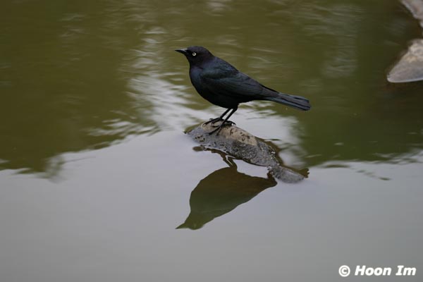 GGP_BotanicalGarden_030607_0004