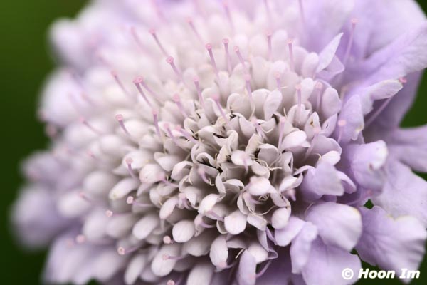 GGP_BotanicalGarden_030607_0008