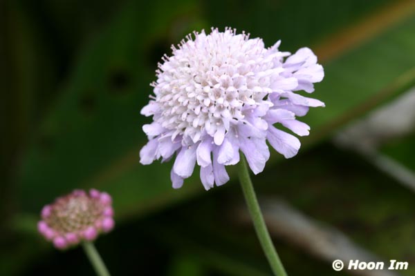 GGP_BotanicalGarden_030607_0019