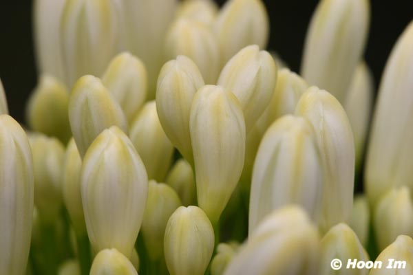 GGP_BotanicalGarden_030607_0026