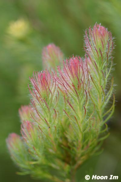 GGP_BotanicalGarden_030607_0027