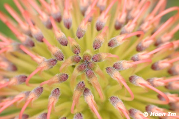 GGP_BotanicalGarden_030607_0034
