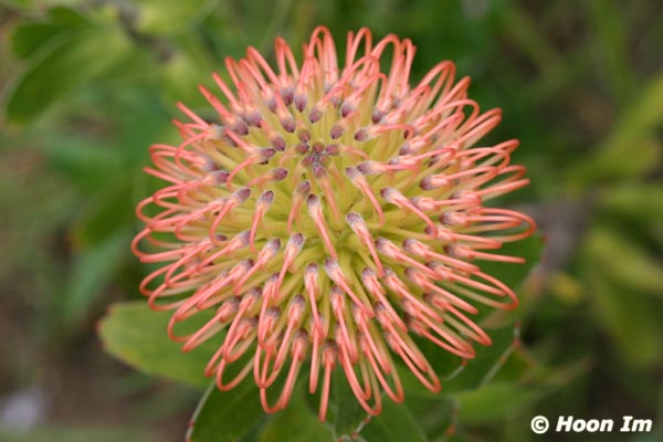 GGP_BotanicalGarden_030607_0036