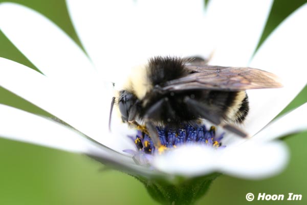 GGP_BotanicalGarden_030607_0048