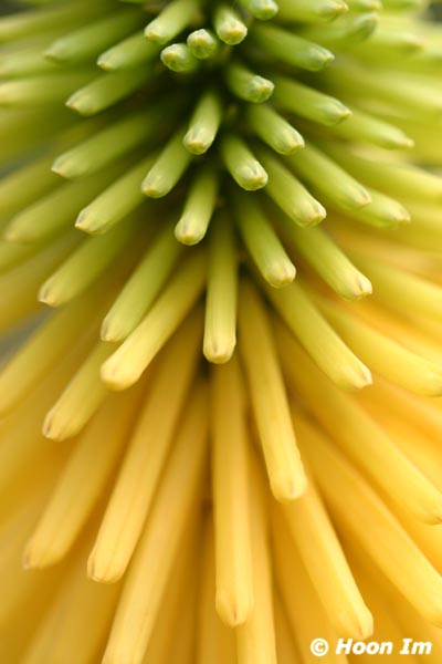 GGP_BotanicalGarden_030607_0087
