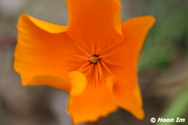 GGP_BotanicalGarden_030607_0112