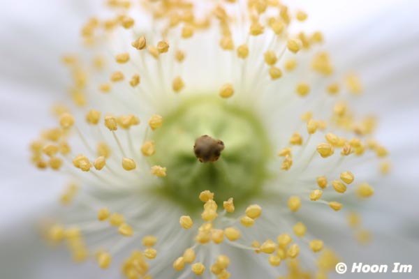 GGP_BotanicalGarden_030607_0121