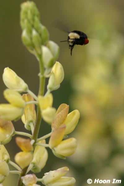 GGP_BotanicalGarden_030607_0132