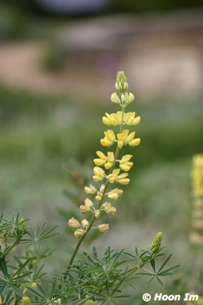 GGP_BotanicalGarden_030607_0135