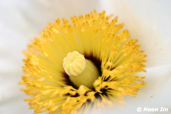 GGP_BotanicalGarden_030607_0136
