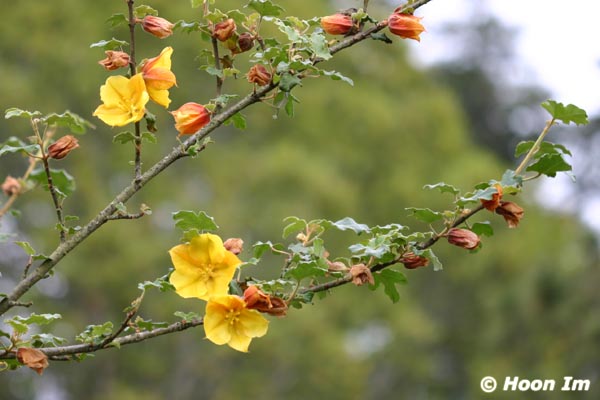 GGP_BotanicalGarden_030607_0147