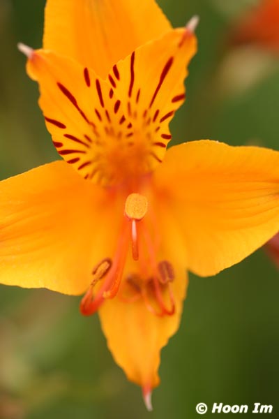 GGP_BotanicalGarden_030607_0154