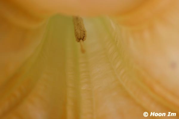 GGP_BotanicalGarden_030607_0158