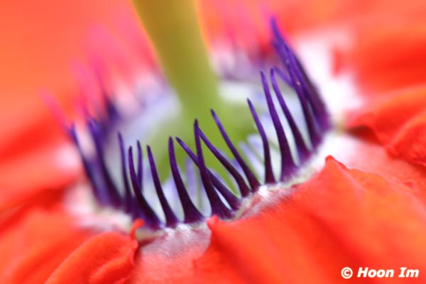 GGP_BotanicalGarden_030607_0172