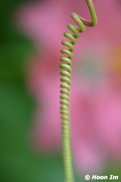 GGP_BotanicalGarden_030607_0180