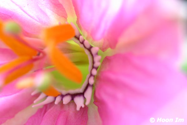 GGP_BotanicalGarden_030607_0183