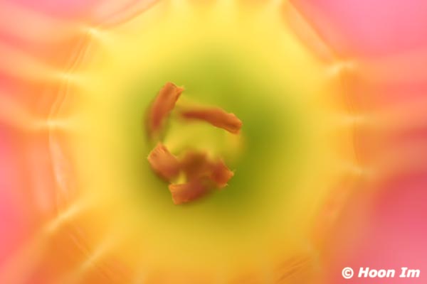 GGP_BotanicalGarden_030607_0192