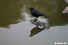 GGP_BotanicalGarden_030607_0004