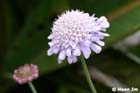 GGP_BotanicalGarden_030607_0019