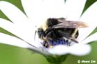 GGP_BotanicalGarden_030607_0048