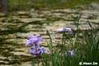 GGP_BotanicalGarden_030607_0109