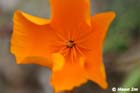 GGP_BotanicalGarden_030607_0112