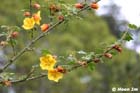 GGP_BotanicalGarden_030607_0147