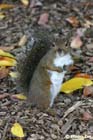 GGP_BotanicalGarden_030607_0151