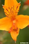 GGP_BotanicalGarden_030607_0154