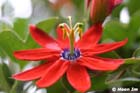 GGP_BotanicalGarden_030607_0169