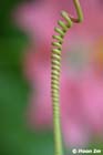 GGP_BotanicalGarden_030607_0180