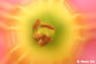 GGP_BotanicalGarden_030607_0192