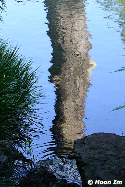 GGP_Arboretum_030614_0038