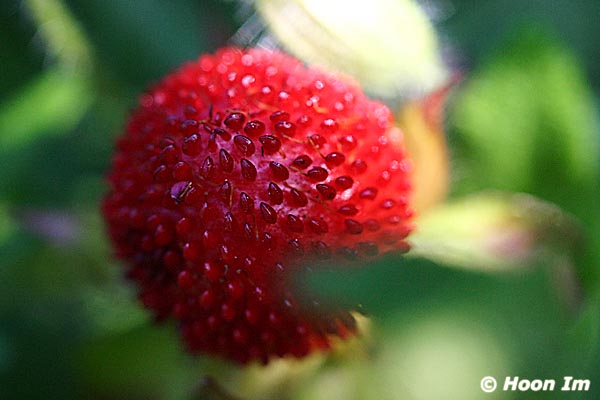GGP_Arboretum_030614_0055