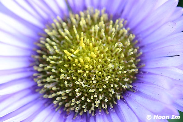 GGP_Arboretum_030614_0078
