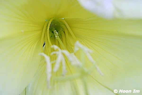 GGP_Arboretum_030614_0090