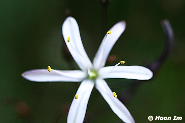 GGP_Arboretum_030614_0099
