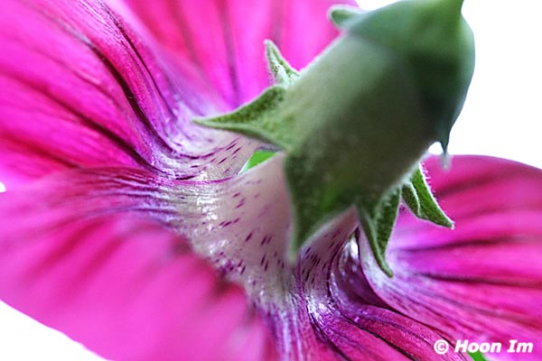 GGP_Arboretum_030614_0107