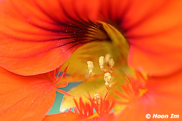 GGP_Arboretum_030614_0112