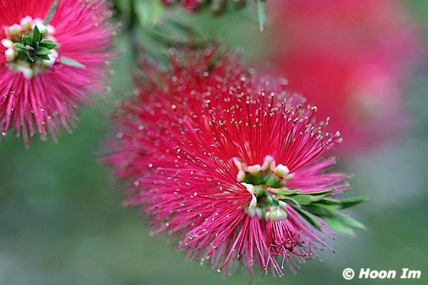 GGP_Arboretum_030614_0118