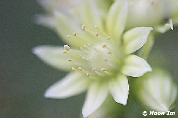GGP_Arboretum_030614_0126