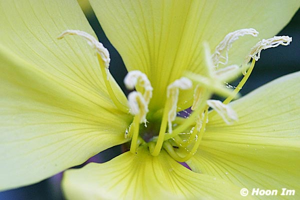 GGP_Arboretum_030614_0132