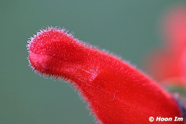 GGP_Arboretum_030614_0138