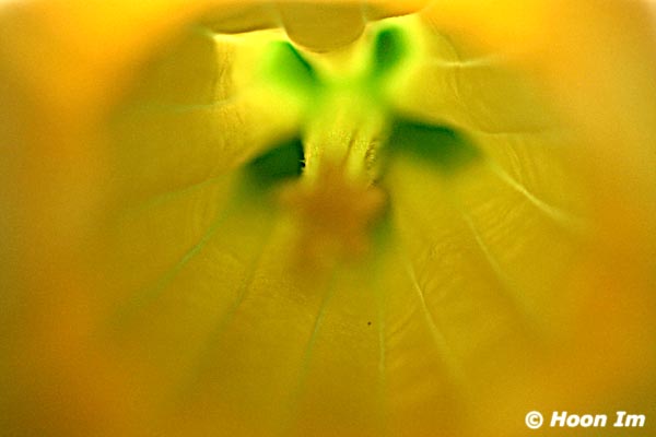 GGP_Arboretum_030614_0156