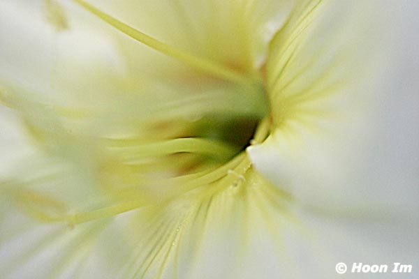 GGP_Arboretum_030614_0158
