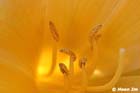 GGP_Arboretum_030614_0001