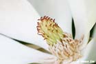 GGP_Arboretum_030614_0021