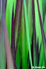 GGP_Arboretum_030614_0026