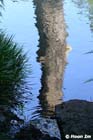 GGP_Arboretum_030614_0038